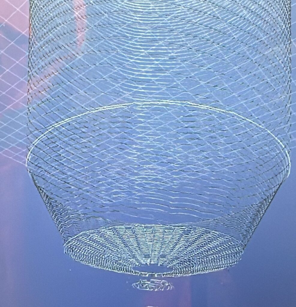 WhatsApp Image 2024-11-27 at 08.39.28